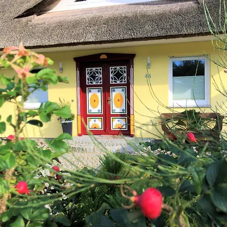 Strandvilla Dolce Und Dierhagen